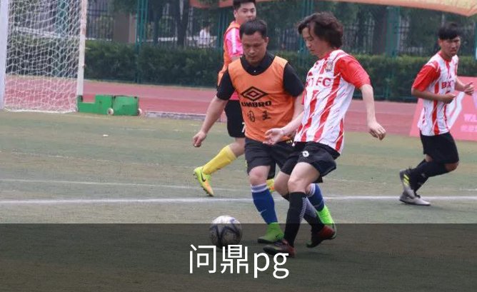 问鼎pg介绍